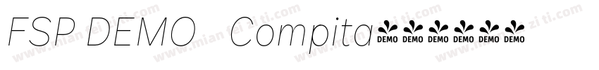 FSP DEMO   Compita字体转换